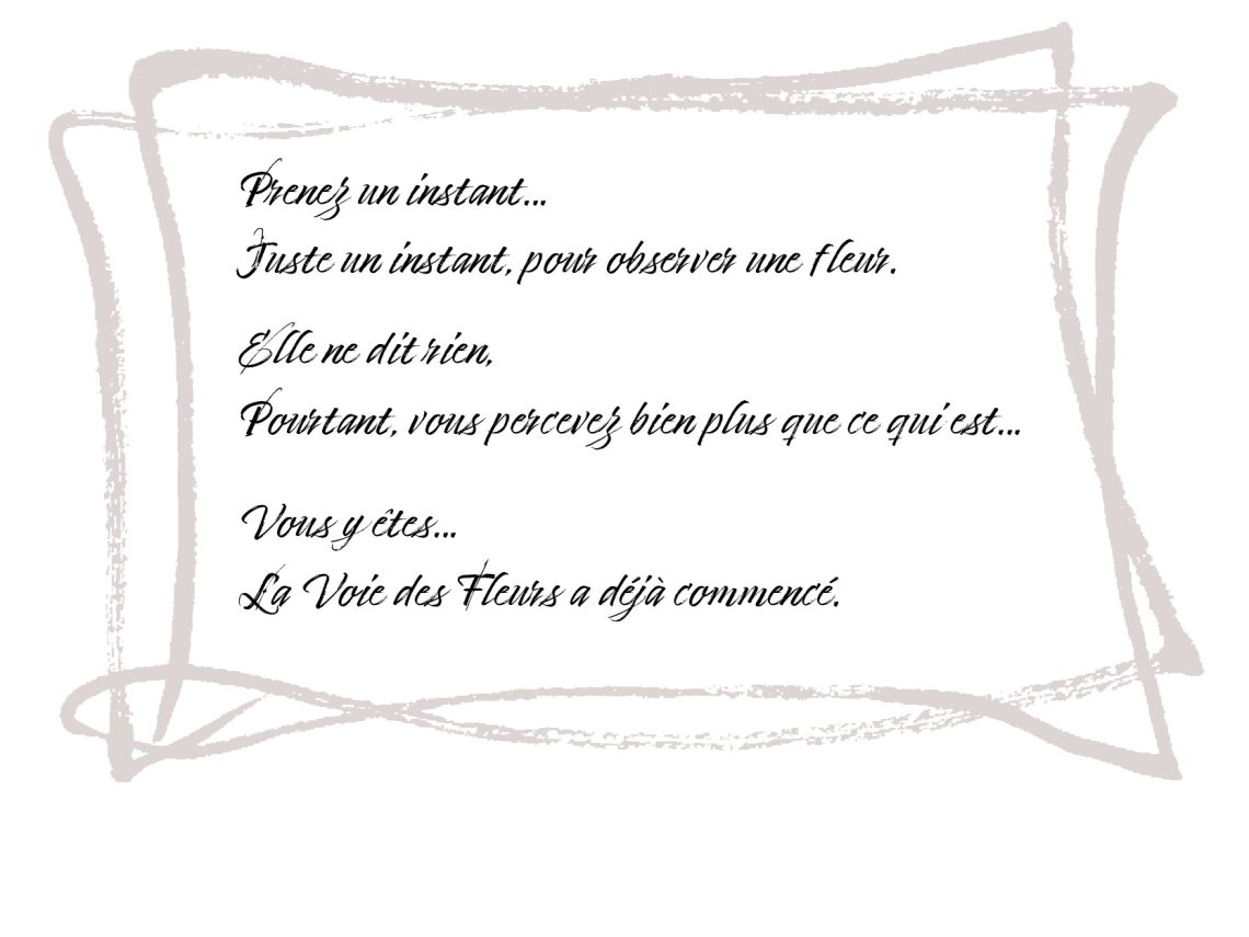 Prenez un instant… Juste un instant, pour observer une fleur. Elle ne dit rien, Pourtant, vous percevez bien plus que ce qui est… Vous y êtes… La Voie des Fleurs a déjà commencé.
