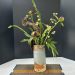 Ikebana de style chinois avec pivoines, fougères, vigne, silène enflée. Atelier Kado ikebana au Beausset Var 83